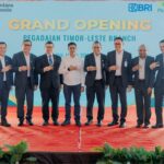 Di Balik Kedalaman 12 Meter: Kisah Swietenia Puspa Lestari Melawan Limbah Laut