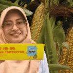 Kopi Indonesia Pukau Pasar Eropa di World of Coffee 2026