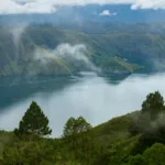 Plastik dari Bambu Ini Bisa Terurai dalam 50 Hari, Peneliti Cina Tantang Dominasi Plastik Minyak Bumi
